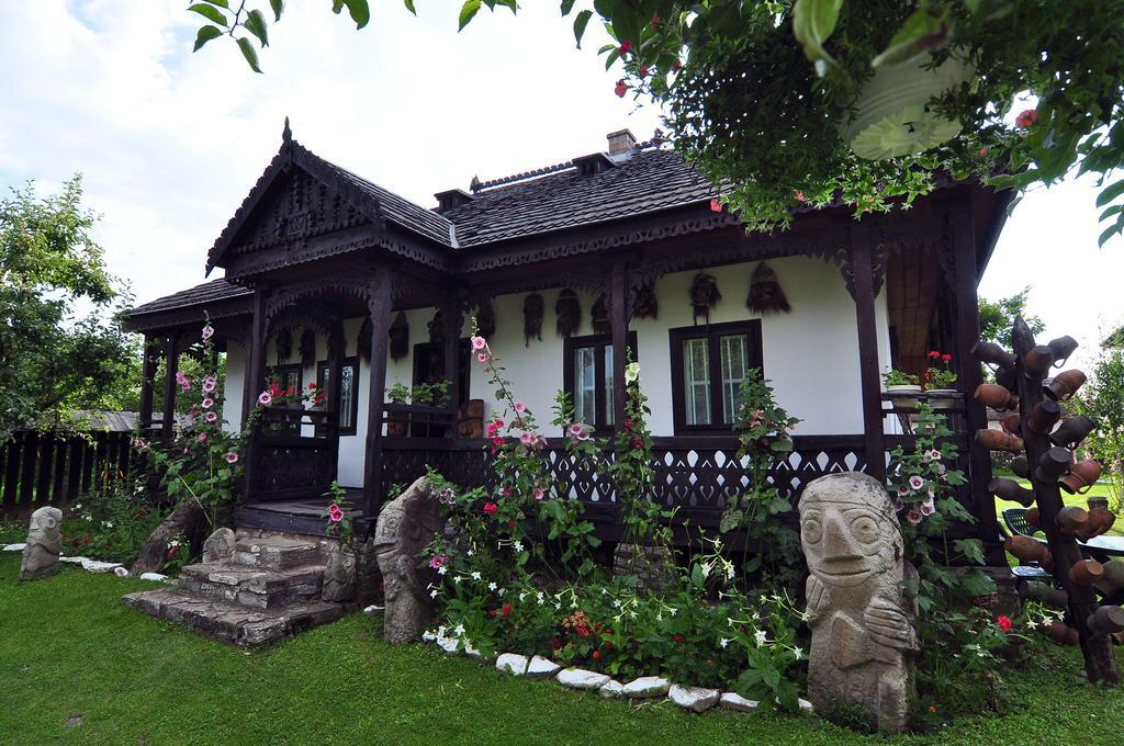 Bed & Breakfast Popamuseum Tarpesti Strada Muzeului Nr 28 Tîrpeşti Bagian luar foto